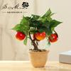 Bonsái de Fruta Artificial de Alta Gama, Decoración Creativa Artificial para el Hogar, Adornos de Moda, Suministro Directo de Fabricantes de Flores, Envío Directo de una Pieza