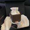 Estilo Ins Lujo Accesible Bolso Satchel Pequeño de Cadena de Perlas Francesas para Mujer 2025 Nuevo Versátil Estilo Extranjero Bandolera de Un Hombro