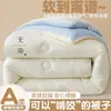 Colcha de fibra de soja, engrosada y cálida, adecuada para invierno, primavera y otoño, lavable, para camas individuales o dobles, adecuada para estudiantes, universal para todas las estaciones