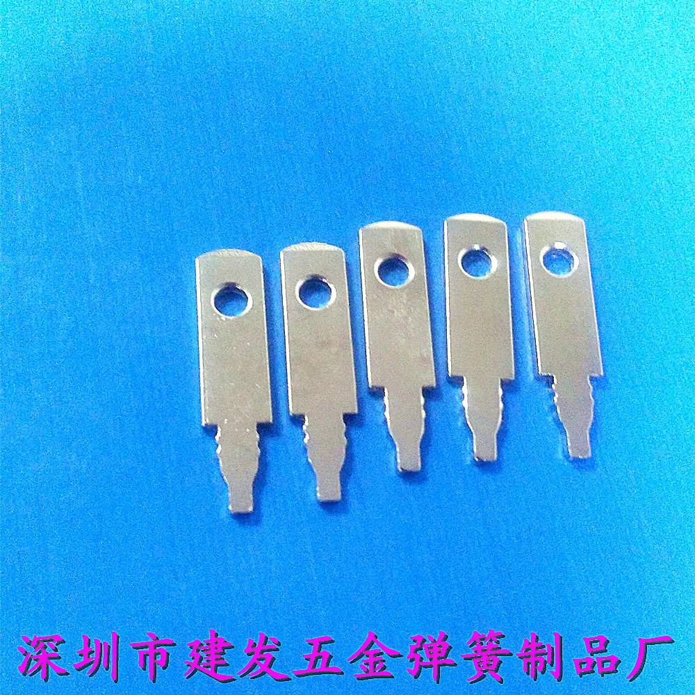 照片 208_副本