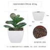 Más de 100 Tipos de Combinaciones de Plantas Suculentas Artificiales en Maceta Mini, Ventas Transfronterizas Populares, Estilo Sencillo Decoración del Hogar Flores Artificiales y Plantas Verdes, Directo de la Fábrica Fuente