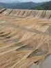 Tiras de Bambú, Tiras de Bambú, Tiras Finas de Bambú, Tejido para Paisajismo, Arte Floral de Jardinería, Materiales Hechos a Mano para Bricolaje, Tiras de Bambú para Decoración de Bodas