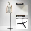 Modelo masculino de estilo coreano ajustado, accesorios de media figura humana, escaparate de ropa, modelo informal de moda, expositor de cuerpo entero