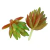Mini Planta Suculenta Artificial Única Suculenta Falsa Flor Artificial Adorno de Micro Paisaje Oficina Planta Verde Real Artificial Alto