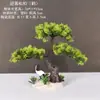 Decoração de Enfeite de Mesa Pinheiro Bem-vindo Pequeno Pinheiro Plantas Verdes Plantas Aquáticas Mini Rochedo Aquário Paisagismo Hotel