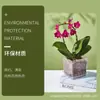 Plástico transparente especial para visualização de raízes de Phalaenopsis vaso de flor simples quadrado respirável adequado para sala de estar peitoril interno
