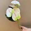 Ramo de Anturios Rojos con Siete Cabezas, Flores Artificiales para Arreglo de Escena, Flores Falsas para Paisajismo, Flores de Plástico Realistas de Alta Gama, Decoración con Flores Artificiales