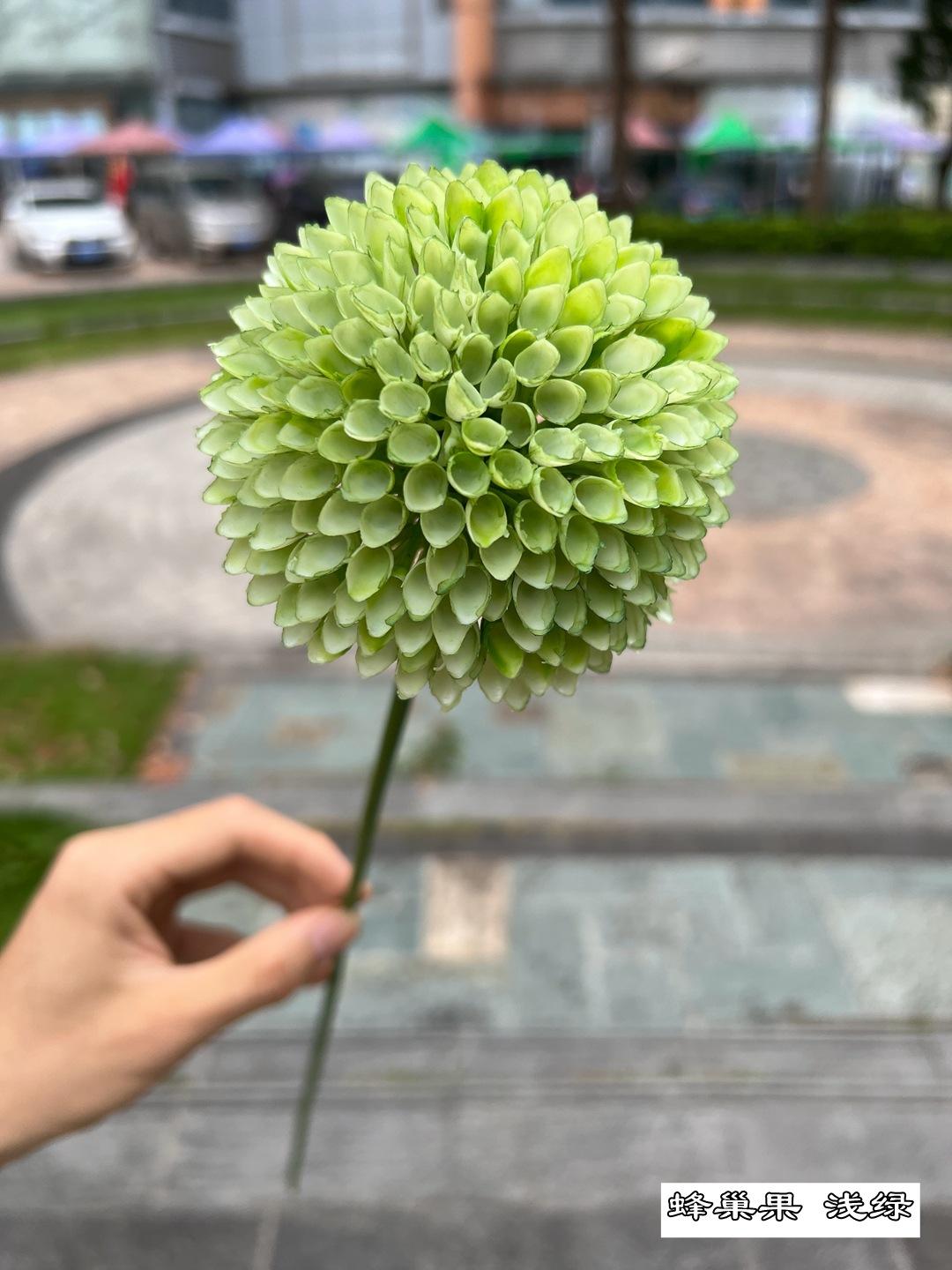 微信图片_20220909201834.jpg