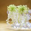 Cascata Mar de Flores Branco e Verde Borla de Contas Frescor Vitalidade Oxigênio Brincos Brincos para Modificar o Formato do Rosto