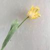 Ramo Simulado de Alta Calidad con Tulipán Hidratante 3D Pegado Color Degradado Flor Falsa Decoración Interior Arreglo Floral Venta al por Mayor