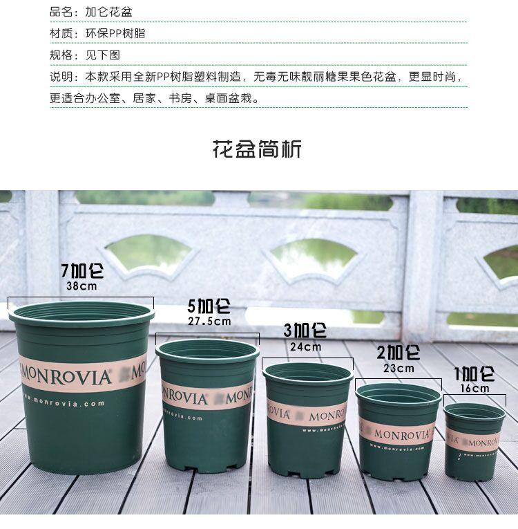 描述4.jpg