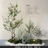 Plantas Verdes Simuladas com Toque de Luxo, Combinação de Paisagismo com Plantas Artificiais, Conjunto Completo de Decorações para Janelas Internas, Design Criativo Biomimético Estilo Wabi-Sabi