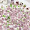 Transmissão ao Vivo Popular Rosa Esculpida Nail Art Joias Misto Folha Verde Camélia Rosa Pérola Pacote de Materiais