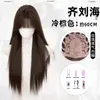Peruca Completa Koni para Mulheres, Estilo Japonês, Emagrecimento Facial, Franja, Mesmo Estilo de Xiaoju, Peruca Longa Lisa Preta Realista Sem Costura