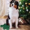 Tigela de Silicone para Cachorro do Fabricante Original, Livre de BPA, Formato de Boneco de Gengibre Tigela de Alimentação Lenta, Ventosa de Treinamento de Alimentação Lenta para Cães de Estimação