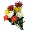 Flores Artificiales para Accesorios de Fotografía, Arreglos Florales, Bodas y Decoración del Hogar: Crisantemo, Áster, Asteraceae, Crisantemo Pinza de Cangrejo