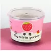 Mini Planta de Vaso Pequena para Desktop para Crianças Observarem o Crescimento das Plantas Bonsai Girassol Morango Sementeira Planta Verde Planta de Vaso