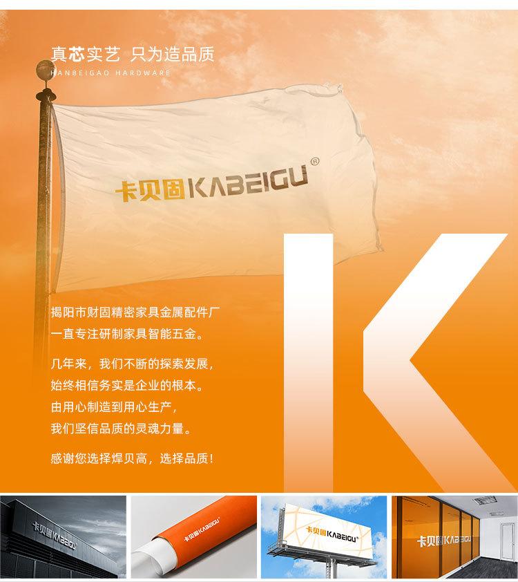 青蛙铰链-卡贝固_18