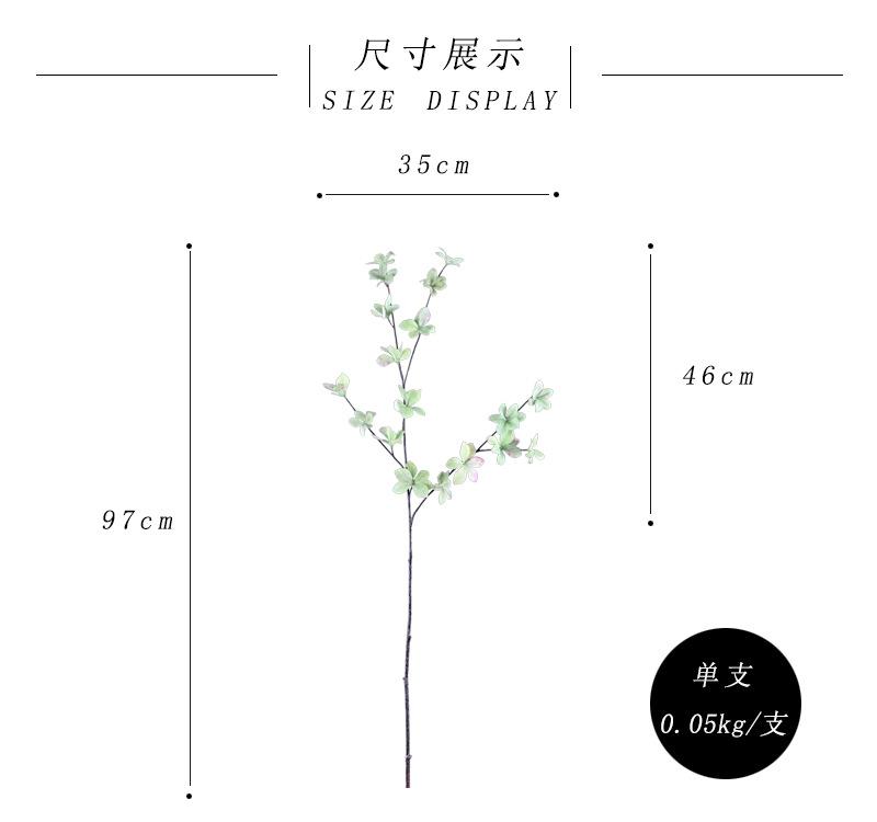 尺寸展示-绿色.jpg