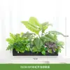 Decoração de Planta com Flores Artificiais Divisória de Plantas Decoração de Plantas Verdes Sulco de Flores Planta Verde Falsa Caixa de Flores Flores Biônicas Decoração de Paisagem com Flores Artificiais