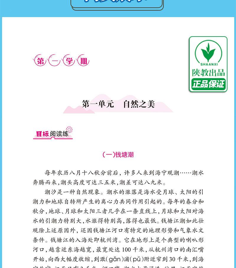 详情-13