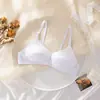 Sujetador sin cables al por mayor, Sujetador deportivo cómodo estilo chaleco, Sujetador para mamá talla grande, Ropa interior ajustable para dormir