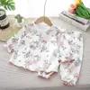 Conjunto de Primavera para Menina Princesa Algodão Puro Classe A Conjunto de Duas Peças para Bebê 2025 Novo Estilo Amável