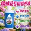 Solución Nutricional Especial para Hortensias para Brotación y Enraizamiento Fertilizante Fertilizante Especial para Plantas de Maceta de Hortensia Solución Líquida Fertilizante