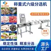 Equipamentos Industriais de Pesagem e Inspeção, Balança de Verificação e Máquina de Triagem Tipo Esteira Fabricados em Dongguan, Suporta Personalização