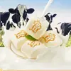 Desayuno Punto Temprano Leche Mantou Hecho a Mano Leche Fresca Mantou Blanco Pequeño Baozi Nutritivo Desayuno Niños Dibujos Animados Fideos Congelados