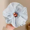 Goma para el pelo de encaje francés, un accesorio para el cabello de alta gama para mujer, perfecto para crear un moño o una cola de caballo elegante. Es un coletero delicado y elegante, disponible en tamaño grande