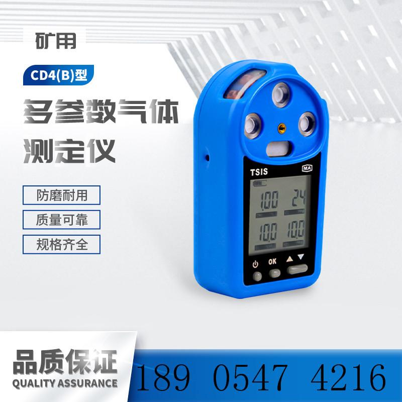 CD4(B)多参数气体测定仪-