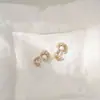 Serie de Mascotas Otoño e Invierno Pendientes para Perro Aguja de Plata S925 Accesorios para Orejas Versátiles Ecológicos Galvanizados Venta al por Mayor Antialérgicos