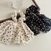Estilo Coreano Dulce Lunares Cinta de Gasa Coletero de Lujo Estilo Perezoso Peinado Semi-Recogido Lazo Goma para el Cabello Accesorio para el Cabello