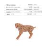 Modelo de Animal Selvagem de PVC Sólido Simulada Tigre Leão Girafa Elefante Hipopótamo Micro Paisagem Ornamentos Atacado