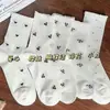 Calcetines de verano finos de algodón para mujer, calcetines transpirables de malla, algodón de Xinjiang, calcetines de color liso de tubo largo con encaje de lazo apilables