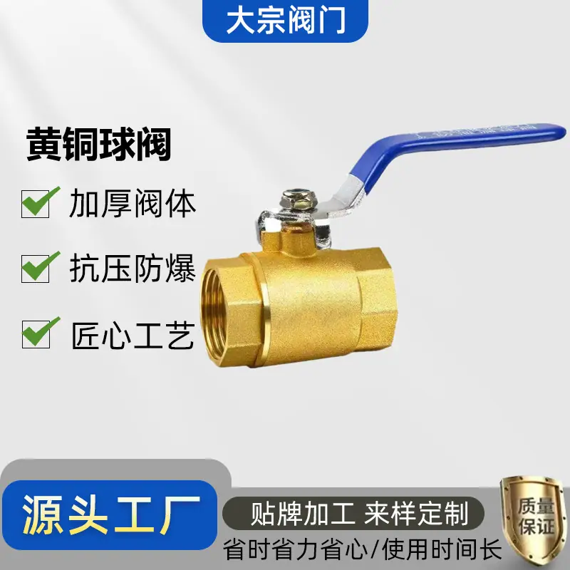 微信图片_20240520194138