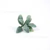 Explosiones calientes de comercio exterior 66 piezas de traje de planta verde artificial hojas de hierba acuática material de corona de ramo de rosas hecho a mano
