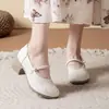 Sapatos Versáteis para Mães Sapatilhas Femininas Outono 2025 Novo Salto Grosso 4cm Salto Médio Bordados para Meia-Idade e Idosos Superfície Macia Bico Baixo