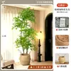 2026 Planta Verde Artificial Nandina Planta em Vaso Alto Padrão Luxo Leve Decorativa para Chão de Sala de Estar Flor Árvore Artificial Grande
