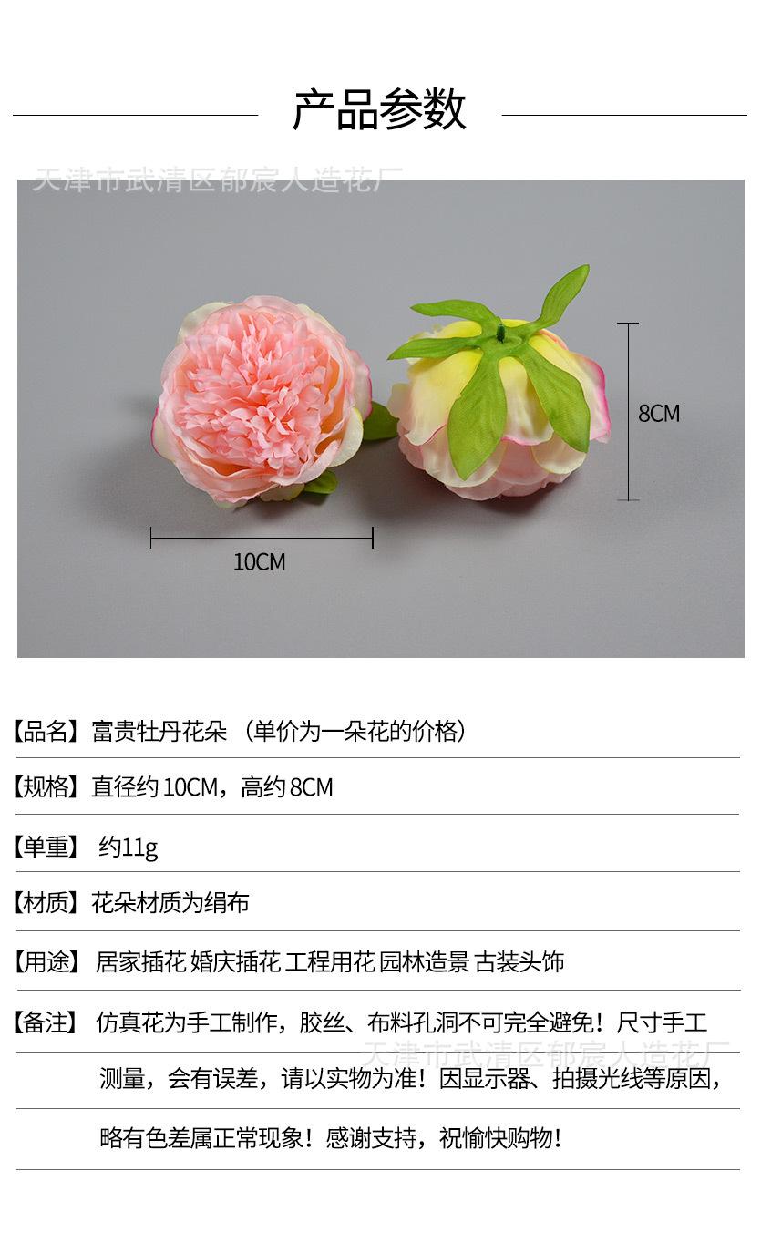 详情_01.jpg