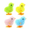 Brinquedos para Gatos Auto-hi Gatos para aliviar o tédio e gatinhos para gatinhos para gatinhos para gatinhos para gatinhos para gatinhos para gatinhos para gatinhos para gatinhos para gatinhos para gatinhos para gatinhos para gatinhos para gatinhos para gatinhos para gatinhos para pintinhos frango suprimentos para gatos