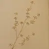 Material de Balde de Ano Novo 2025 Véspera de Ano Novo Fruta Vermelha Folha de Ouro Folha de Ginkgo Folha de Leque Tamanho do Leque Leque Redondo Costas de Tartaruga Dourado