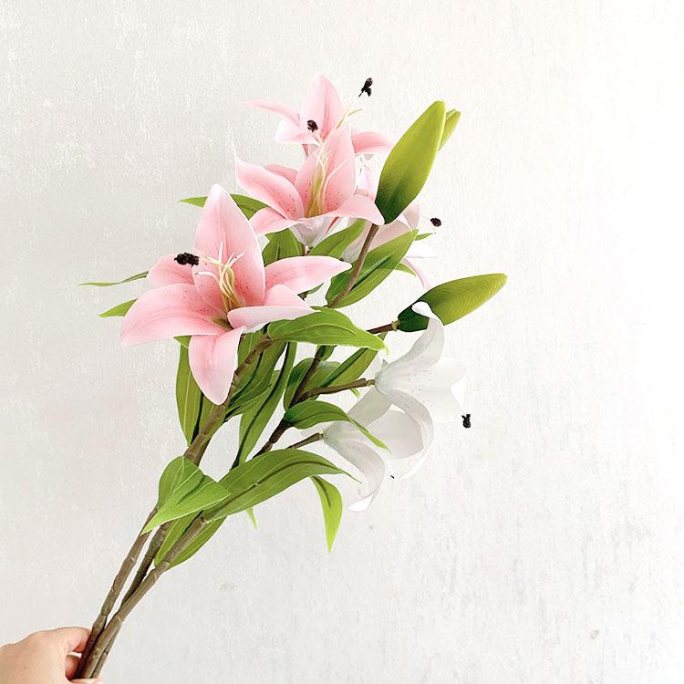 QQ图片20220819141156