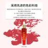 Pigmento concentrado de molécula pequeña de 10 ml para tatuaje semipermanente, fácil de aplicar, personalizable