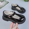 Estilo Comércio Exterior Tira em T Moda Feminina Sapatos Mary Jane de Salto Grosso 2026 Outono Novo Tendência Cool Respirável Pequenos Sapatos de Couro