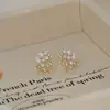 Pendientes de Flor de Fuegos Artificiales Diamante Super Flash Aguja de Plata Estilo Fresco Nicho Coreano Pendientes de Diseño Personalizado de Moda