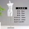 Adereços de Modelo para Reunir Sutiãs, Manequins de Meio Corpo Masculino e Feminino para Sutiãs e Lingerie, Cabides de Corpo Falso para Maiôs, Suportes de Exibição