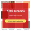 Cartão de Cores Laminado Metálico de Guangdong Aço Inoxidável Laminado Aço Colorido em Bobina Placa Matéria-Prima Fabricante Amostra de Cor Cor Personalizada Revestimento de Cor