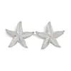 Joyería Transfronteriza Europea y Americana, Pendientes Exagerados de Estrella para Fiesta Temática del Océano, Pendientes Metálicos Personalizados de Estrella de Mar para Playa de Vacaciones